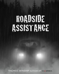 Roadside Assistance Cover